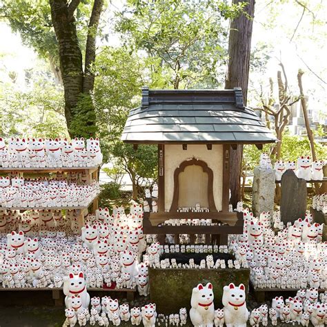 Visit Japan Gotokuji Temple Home Of The Maneki Neko Gotokuji A