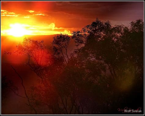 Sunset In Canberraactaustralia By Wolf Sverak Redbubble
