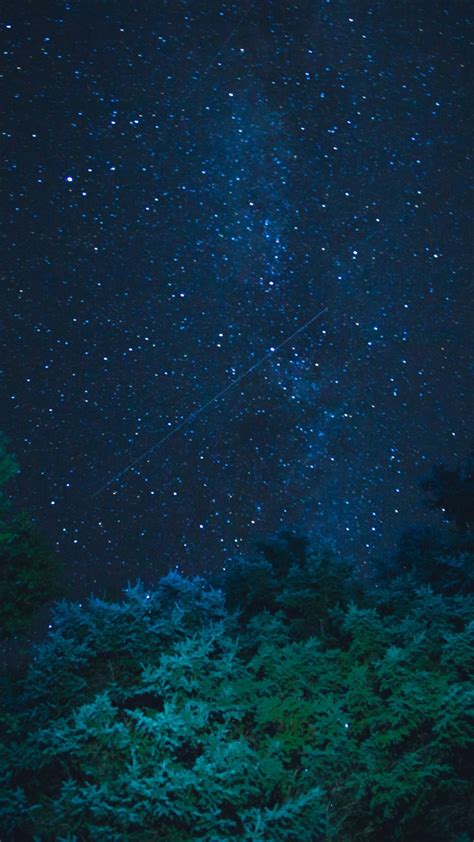 Starry Sky Stars Night Trees Wallpaper 1440x2560