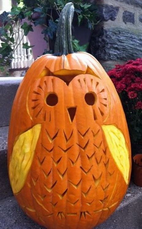 Owl Pumpkin Carving Idea Creative Ads And More