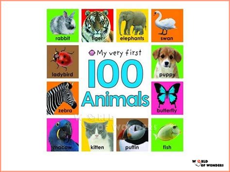 World Of Wonders Bright Baby My Very First 100 Animals