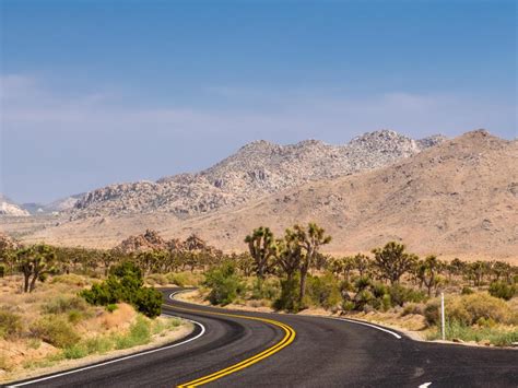 Road Trip From Los Angeles To Joshua Tree National Park Lazytrips