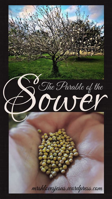 The Gospel Parables Parable Of The Sower Mrshlovesjesus