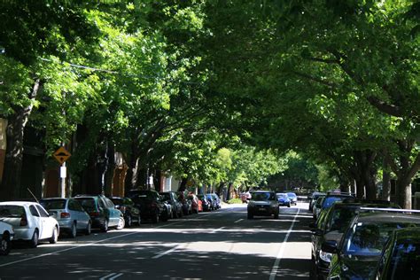 Design With Nature Data Show That Increased Tree Canopy Boosts