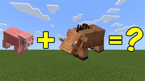 I Combined A Pig And A Hoglin In Minecraft Heres What Happened