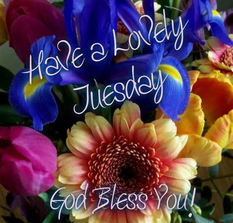 have a lovely tuesday quotes quote days of the week blessings tuesday tuesday quotes happy