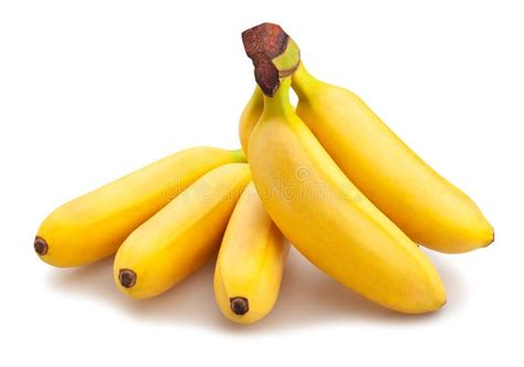 Ripe Baby Banana Cluster Stock Photo Image Of Bunch Background 4376684