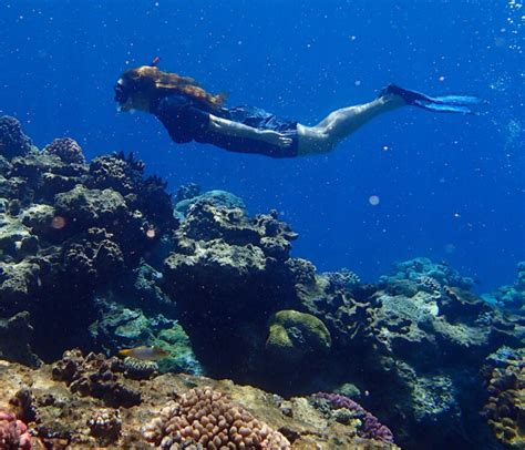 Snorkeling At Manta Ray Passage Yasawa Islands Snorkeling In Fiji