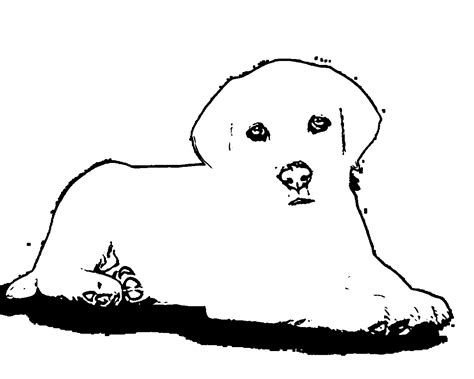 Puppy Outline Coloring Page Coloring Home