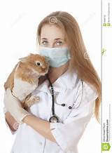 Rabbit Doctor