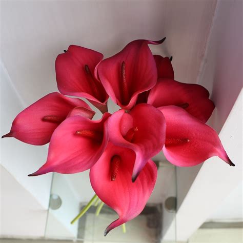Deep Red Real Touch Calla Lilies Natural Touch Flowers Calla Etsy