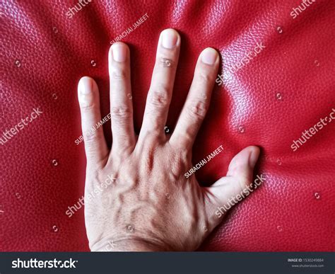 Mans Left Hand Full Tendons Veins Stock Photo 1530249884 Shutterstock