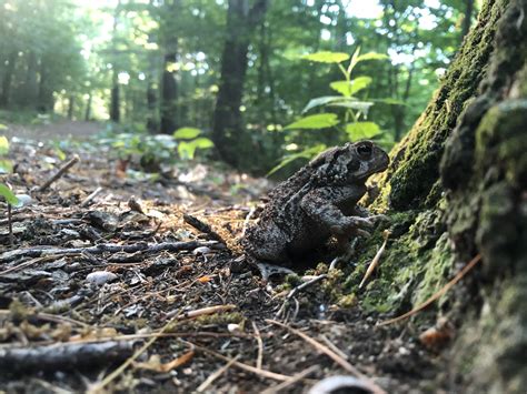 Embodied Prayer – Farewell – SSJE