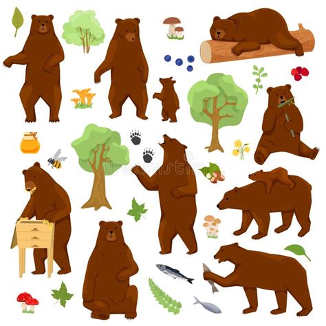 Grizzly Bears Flat Set Stock Vector Illustration Of Mammal 264682814