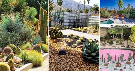 Inexpensive Desert Landscaping Ideas Pictures Balcony Garden Web