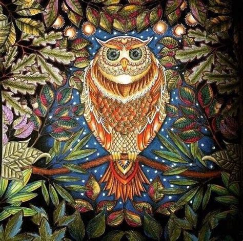 See more ideas about coloring books, johanna basford secret garden, secret garden coloring book. secret garden coloring book owl - Google Search ...