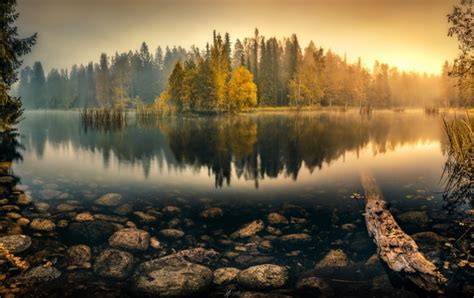 Dawn Autumn Forest Lake Wallpapers