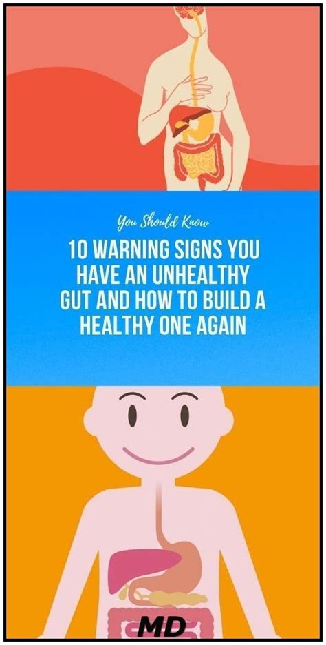 10 warning signs you have an unhealthy gut and how to build a healthy one again health and