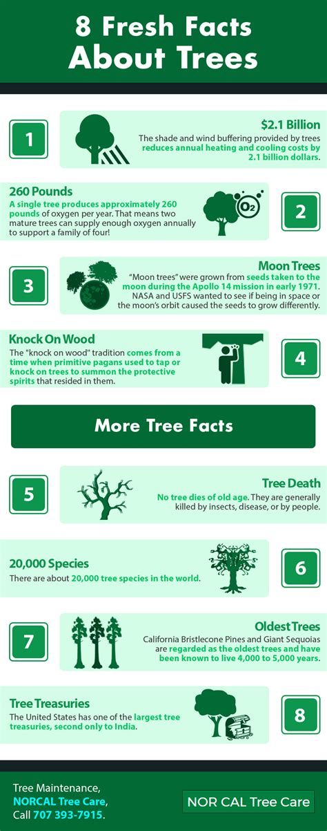 8 Fresh Facts About Trees Shared Info Graphics