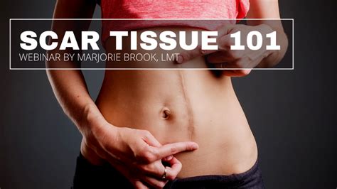 Scar Tissue 101 How Scar Tissue Affects The Body
