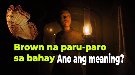 Paru Paro Na Brown Sa Bahay Malas Ba O Swerte Ano Ang Ibig Sabihin