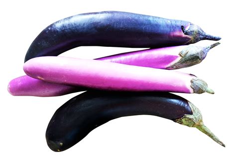 Eggplants Png Image Purepng Free Transparent Cc0 Png Image Library