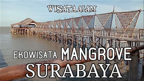 Ekowisata Mangrove Wonorejo Surabaya Wisata Alam Surabaya Akang