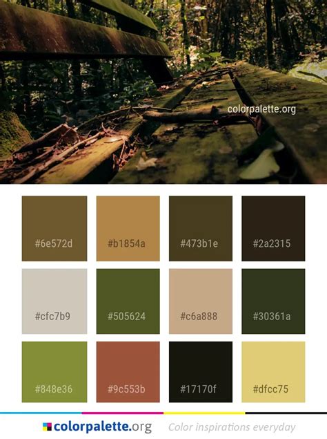 Forest Tree Jungle Color Palette
