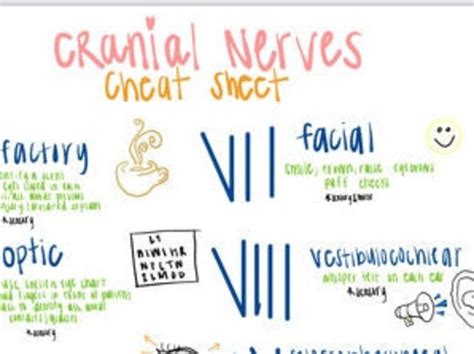 Cranial Nerves Nursing Cheat Sheet Etsy