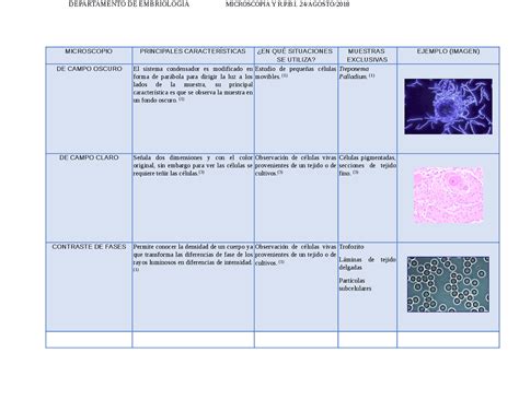 Cuadro Comparativo De Los Microscopios Histologia Medica Tipo De The