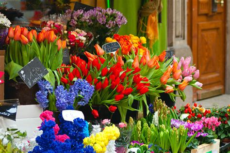 In 1791, the french market originated as a native american trading post along the mississippi river. J. Morris Flowers 2017 Class Schedule — J. Morris Flowers