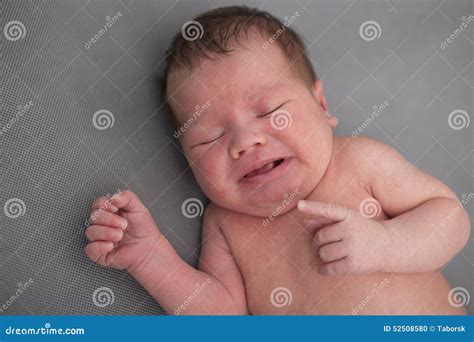 Newborn Baby Screaming Stock Photo Image Of Beauty Baby 52508580