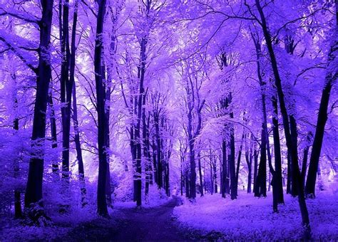 Les 122 Meilleures Images Du Tableau Rhapsody In Purple Sur Pinterest