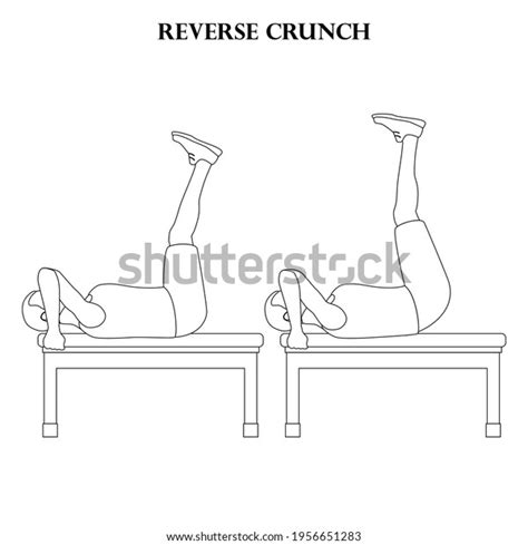 Reverse Crunch Exercise Workout Vector Illustration Stock Vector