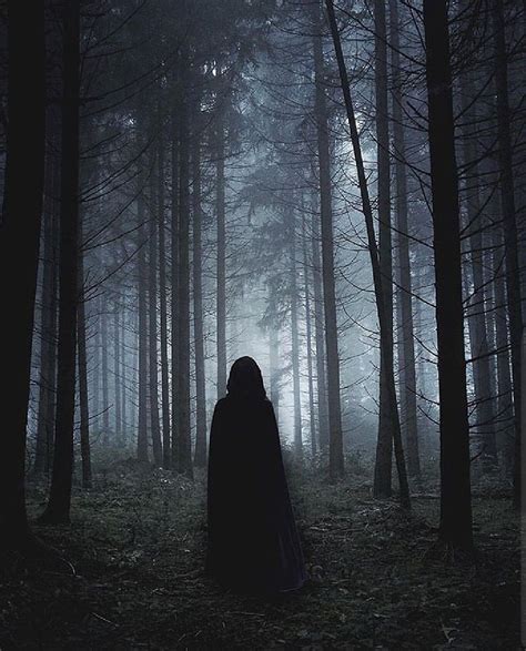 A Person Standing In The Middle Of A Forest At Night With Fog Coming