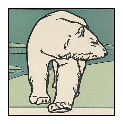Vintage Art Polar Bear Polar Bear Free Stock Photo Public Domain Pictures