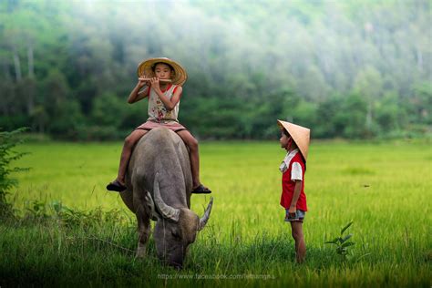 Top 20 Hình ảnh Quê Hương Việt Nam đẹp Nhất Mới Nhất Năm 2022