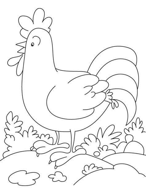 Coloring pages are fun for children of all ages and are a great educational tool that helps children develop fine motor skills, creativity and color recognition! Rooster Cartoon Images - Coloring Home