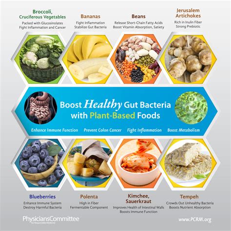 Boost Healthy Gut Bacteria With Plant Based Foods Pictures Photos And