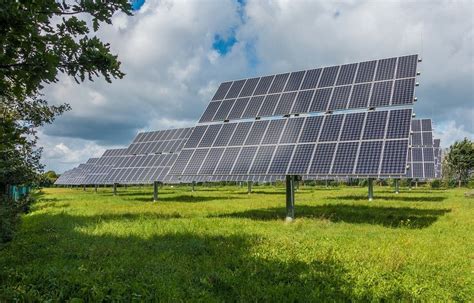 Ny brancheforening for solenergi vil sikre grøn og støttefri energi til ...