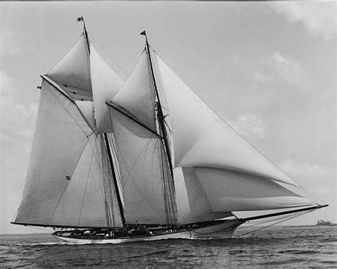 Old Photograph Vintage Schooner Sailboat Race 1900s Vintage Photo