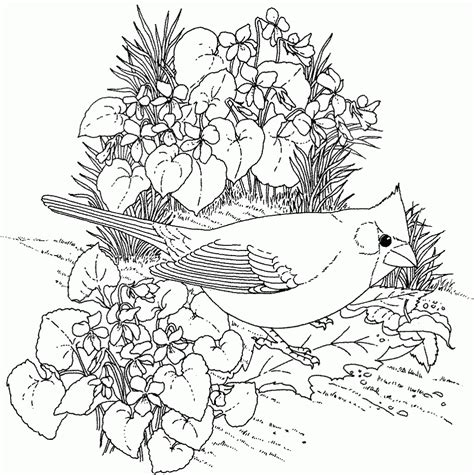 Coloring Pages For Adults Nature - Coloring Home