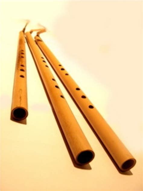 Alat musik petik adalah alat musik yang menghasilkan suara atau bunyi dengan cara menggetarkan senar atau di petik. Alat | Musik | Tradisional | Nusantara: NTT