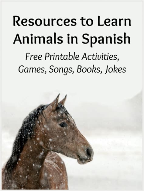 Animals Archives Spanish Playground