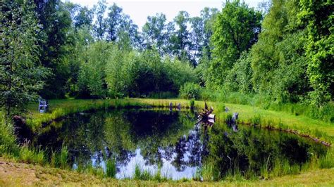 How To Build All Natural Pond Without Liner Low Costmaintenance Big