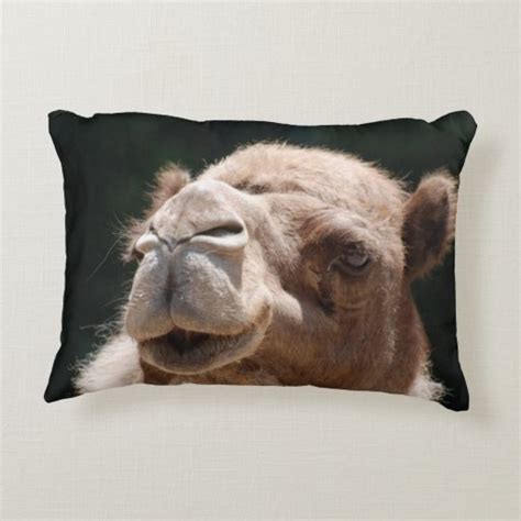 Hump Day Camel Accent Pillow Zazzle