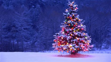 Buy Animated Christmas Tree With Garland Video Christmas