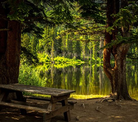 Forest Bench Lake River Scenic Travel Trees Hd Wallpaper Peakpx
