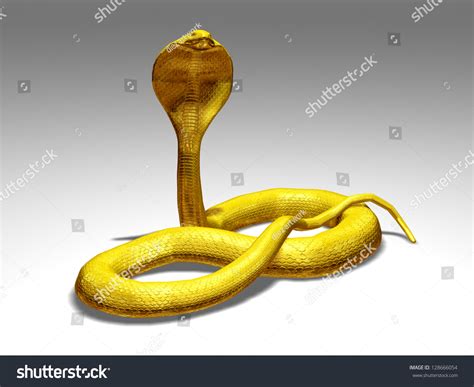 Golden Naja Cobra Snake Stock Illustration 128666054 Shutterstock