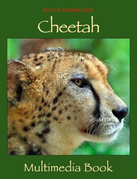 Cheetah By Winktolearn And Virtual Gs On Apple Books
